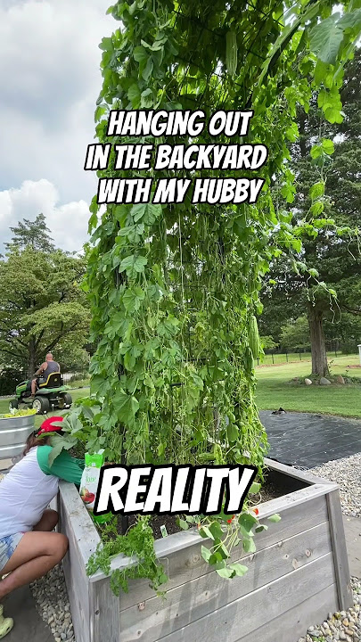 Hanging out in the backyard with hubby. Expectation vs. Reality.