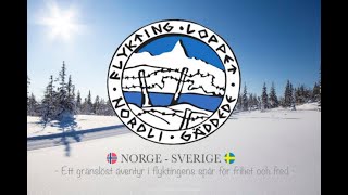 Flyktningerennet 2024  / Flyktingloppet 2024 - Söndag - Live Stream