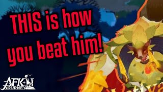 We DESTROY the bear boss! Use these setups!- AFK Journey