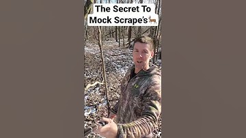 Best Mock Scrape and Location Shoot more bucks! #shorts #whitetaildeer #hunting #bowhunting