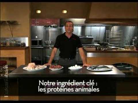 Vidéo sur la nutrition des chiens et des chiots - Protéines (Episode 2) Vidéo sur la nutrition des chiens et des chiots - Protéines (Episode 2)