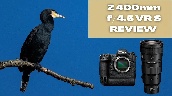 Nikon Z 400mm f/4.5 VR S Lens - Field Review - SUPER SHARP!!! - DayDayNews