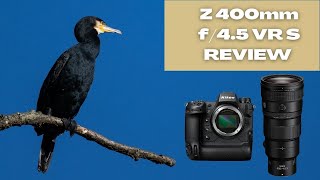 Nikon Z 400mm f/4.5 VR S Lens - Field Review - SUPER SHARP!!!