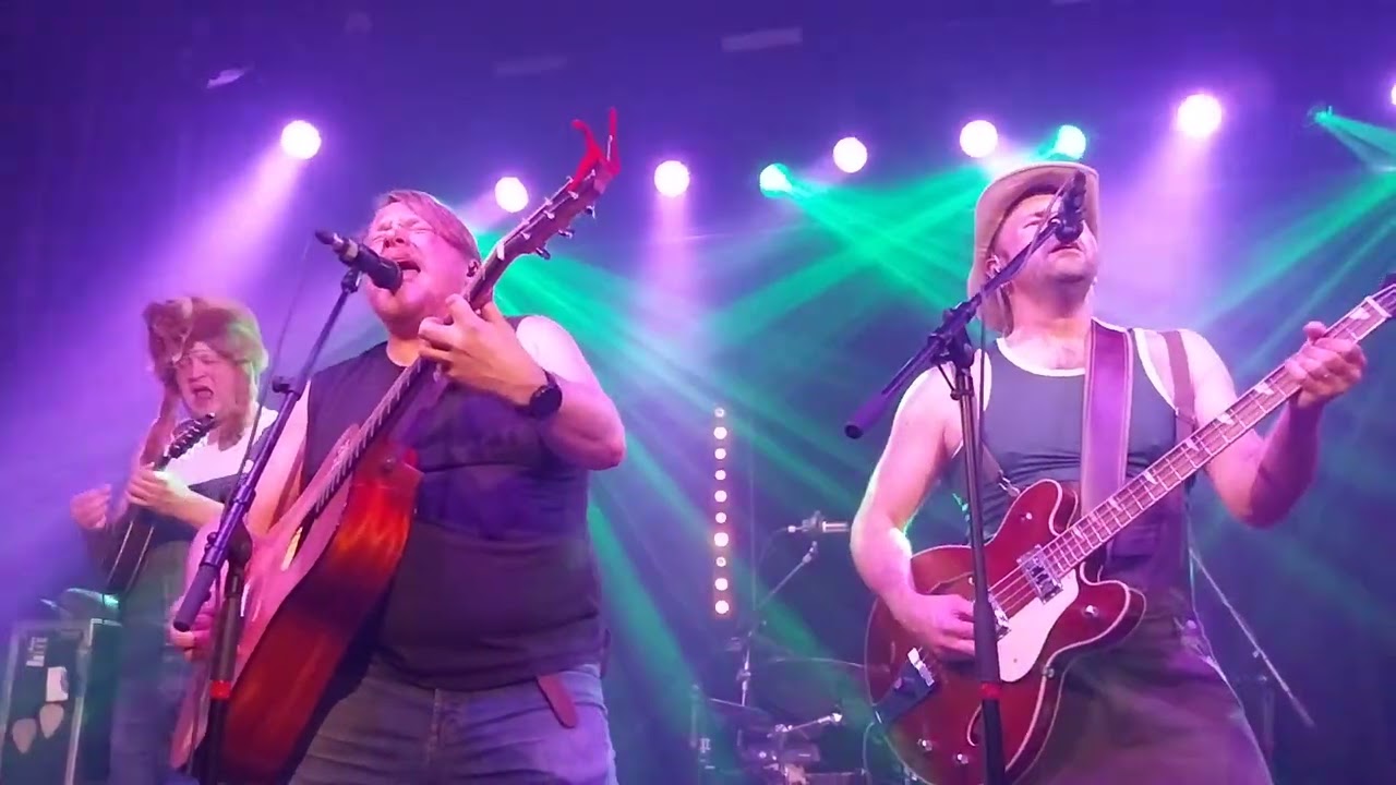 STEVE N SEAGULLS - 