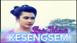 Isun KESENGSEM ambi eseme mbok SHINTA FEBRIARTI