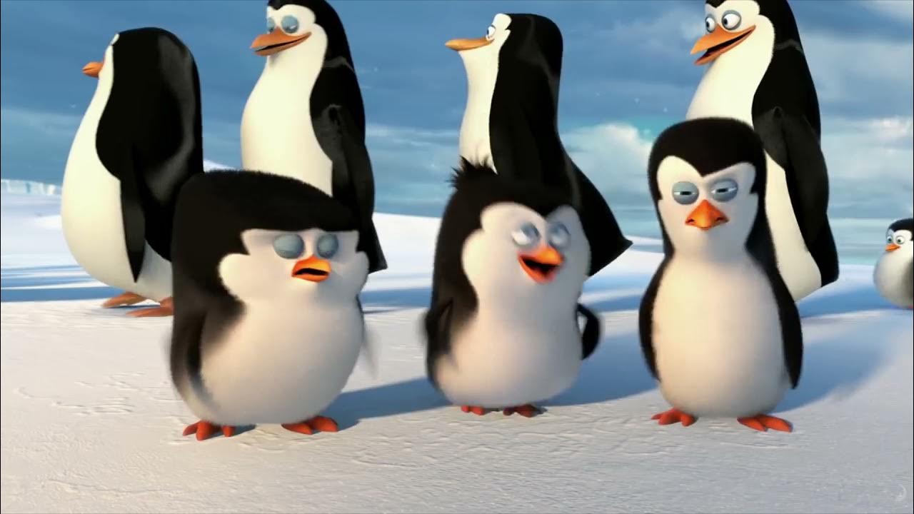 Пингвины моей мамы вк. Танец пингвинов из Мадагаскара. Пингвины из Мадагаскара Постер.