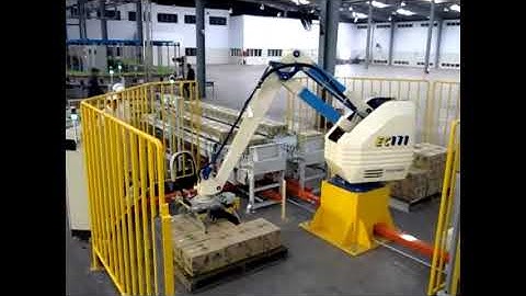 Robot xếp thùng lên pallet_Robot palletizer for beverage cases