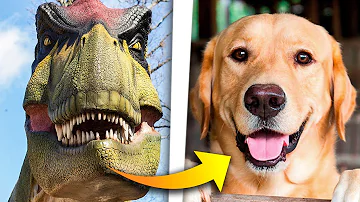 ¿Son los dinosaurios más inteligentes que los perros?