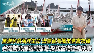 黑潮孕育海洋生命 流經台灣攜來豐富物種台灣南北兩端到離島 探詢在地漁鄉故事汙染.濫捕扼殺魚類生存 鯖魚鰻苗產量銳減保育刻不容緩天選之島華視新聞 20230514