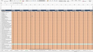 Generating Salesforce Object Basic & Detailed reports