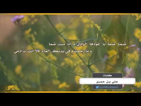 شيلة ضما ضما