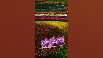 سورة مريم و،؛كا.؛نك تسمعها لأ،،و.ل مر.ة❤️🌳،🌺💛؛،💜💮💔بصوت الشيخ حمزة مدبو.ح 🌸💕،؛💝..🌹❤️؛💓،.💕💗