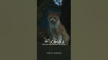 واستغفروا الله ان الله غفور رحيم / القارئ شريف مصطفى #شريف_مصطفى #قرآن