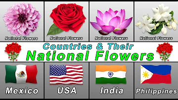 National Flower of the Countries | National flowers