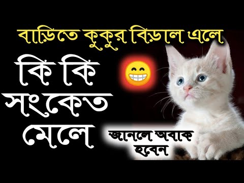 ভিডিও: শিশুদের ঘাড়ে বর্ধিত লিম্ফ নোড। এটা কি বলে?