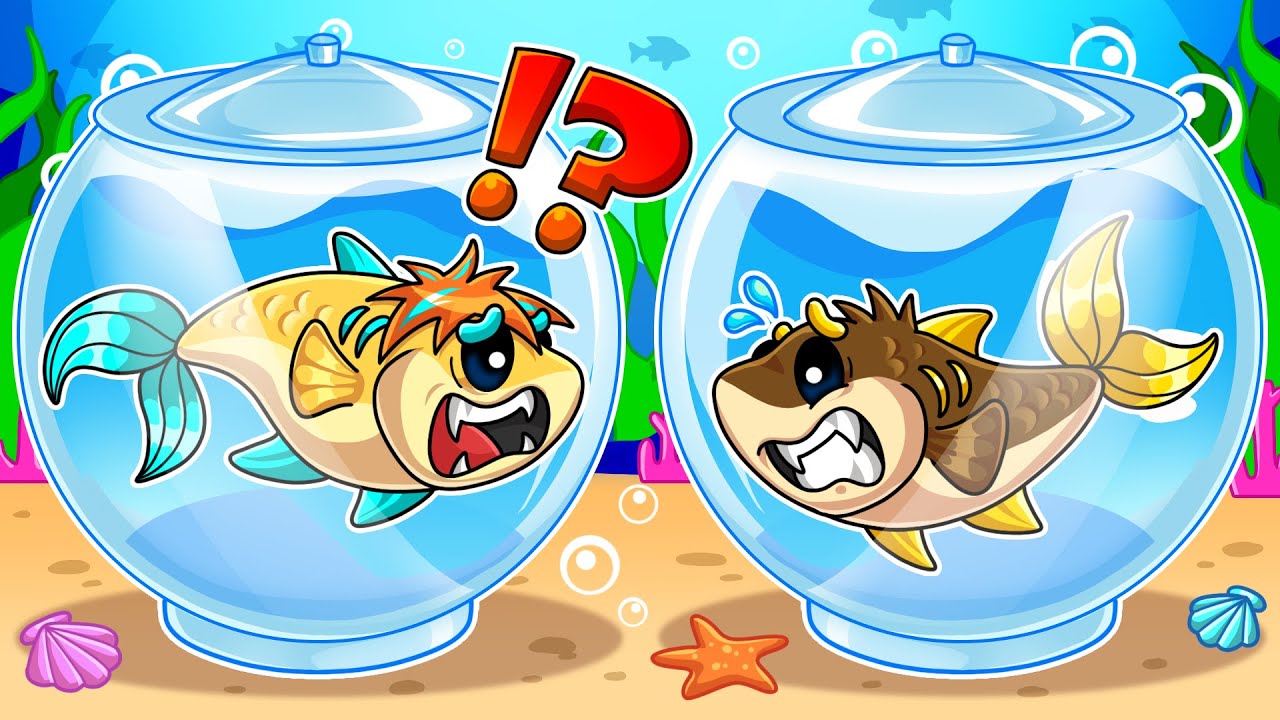 What happens when you turn into a goldfish and get trapped