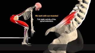 How to Avoid Injuries While Lifting: Watch the muscles in 3D