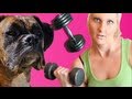 Brock the Boxer: DOG PERSONAL TRAINER!!!