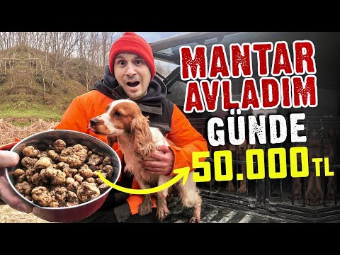 1 GÜNDE 100.000 TL KAZANMAK | BİR GARİP AVCILIK