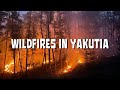 WILDFIRES IN YAKUTIA, SIBERIA - #SAVE_YAKUTIA