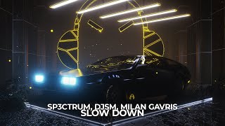 SP3CTRUM, DJSM, Milan Gavris - Slow Down