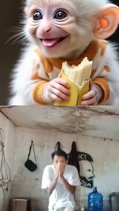 monyet minta es batu nih !!