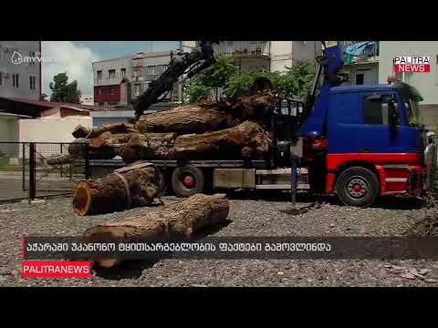 აჭარაში უკანონო ტყითსარგებლობის ფაქტები გამოვლინდა