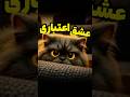 عجب زمونه ایی شده Cat پنگول Kitten Catfunny Cute Catvideos Pets خنده Funny Kitty عجب زمونه ایی شده Cat پنگول Kitten Catfunny Cute Catvideos Pets خنده Funny Kitty
