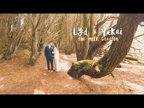 lydia-and-yu-kai---the-milk-stat