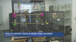 Rescue center packed after rescuing more than 100 birds from home