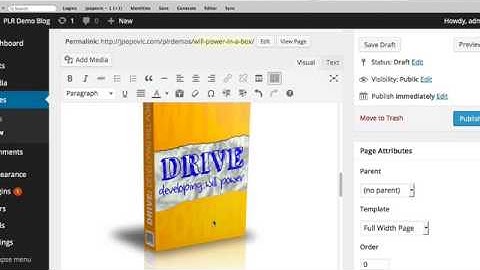 PLR Q&A Session 15 -- Simple HTML to WordPress Process