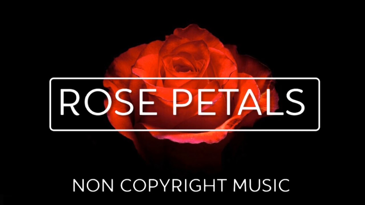 Rose Petals | Non Copyright Music - YouTube