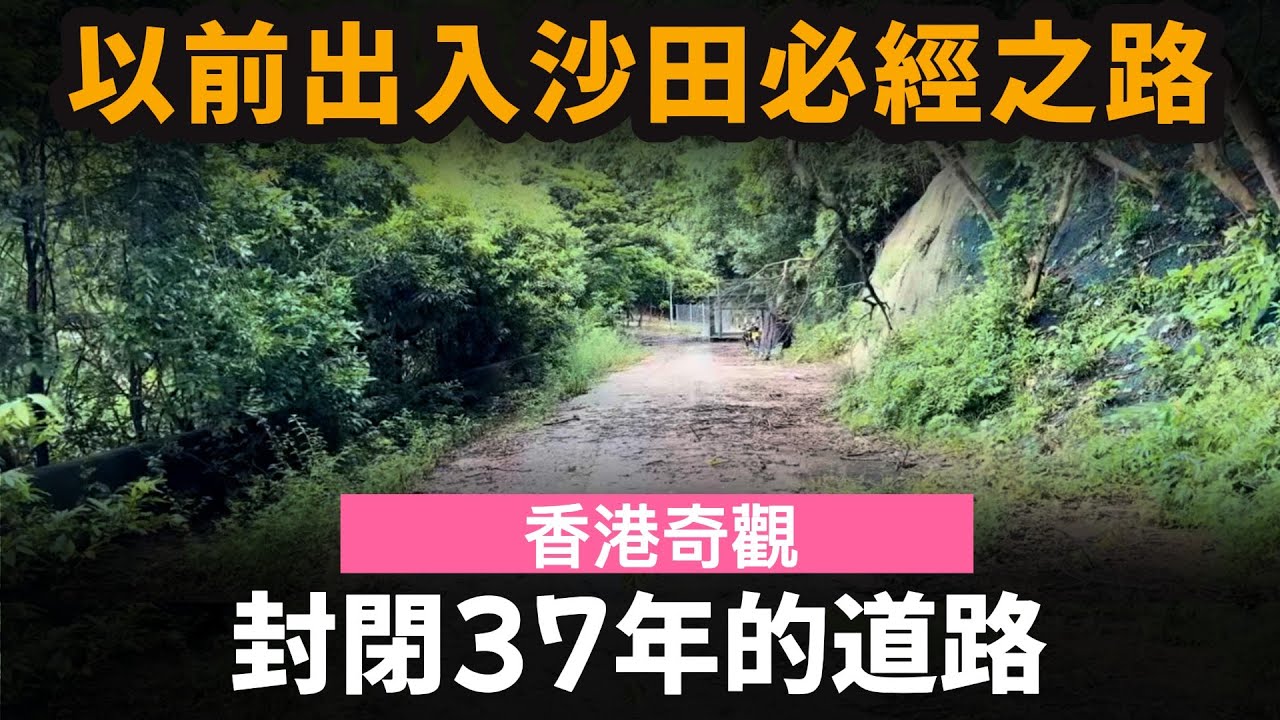 [香港奇觀] 封閉37年的道路 ── 以前出入沙田必經之路 | 大埔公路 | 九龍水塘