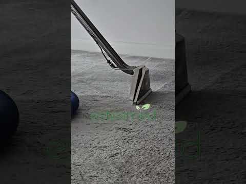 Deep Carpet Clean in Ilkley — Esteamed carpet & upholstery cleaning video