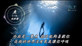 魚--怕胖團( PA PUN BAND )【 動態歌詞 Lyrics 】『而我是一隻魚 我不能夠喜歡你』【D.T】推薦聆聽歌曲