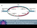 Virology Lectures 2016 #8: Viral DNA Replication