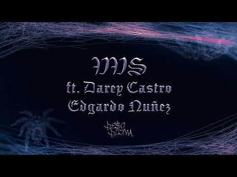 VVS (Lyric Video) – Peso Pluma, Peso Pluma, Edgardo Nuñez, Los Dareyes De La Sierra