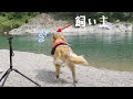【涙腺崩壊】飼い主が川に飛び込んだ後愛犬が取った行動が・・・