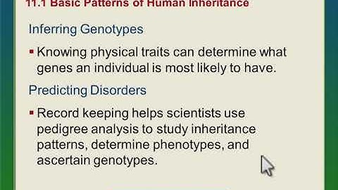 Intro to Human Patterns of inheritance