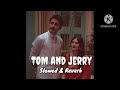 TOM And JERRY  Slowed Reverb  Satbir Aujla   Satti Dhillon   Divya Puri   Punjabi Songs