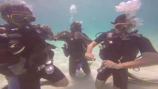 Real divers PADI Discover scuba diving