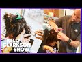 Dad’s Braiding and Beading Hair Skills For His Daughter Wows Kelly