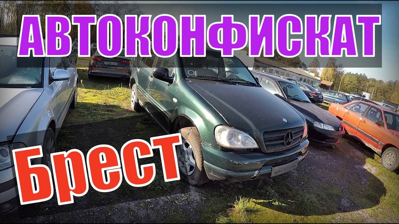 Мерс или ауди