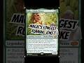 Magic’s Longest Running Joke