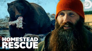 A Homestead in Grizzly Territory | Homestead Rescue | Discovery