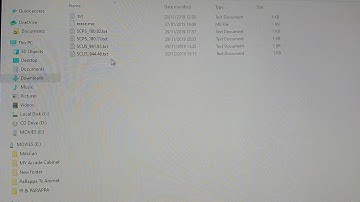How to put cheats in epsxe