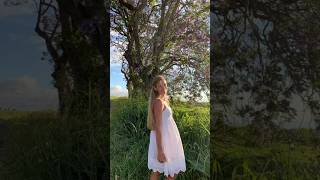 Wildest Dreams Hawaii
