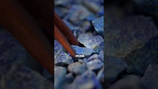 Why Lapis Lazuli Was Worth More Than Diamond 🤯