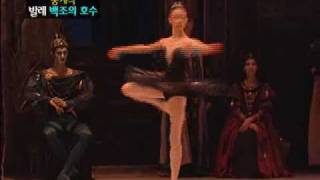 Sae Eun Park Black Swan Coda Amazing Fouettes From Swan Lake Ballet
