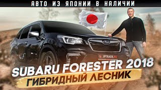 Subaru Forester SKE 18 года обзор. Насколько он гибридный и кроссоверный? Авто с аукциона Японии.